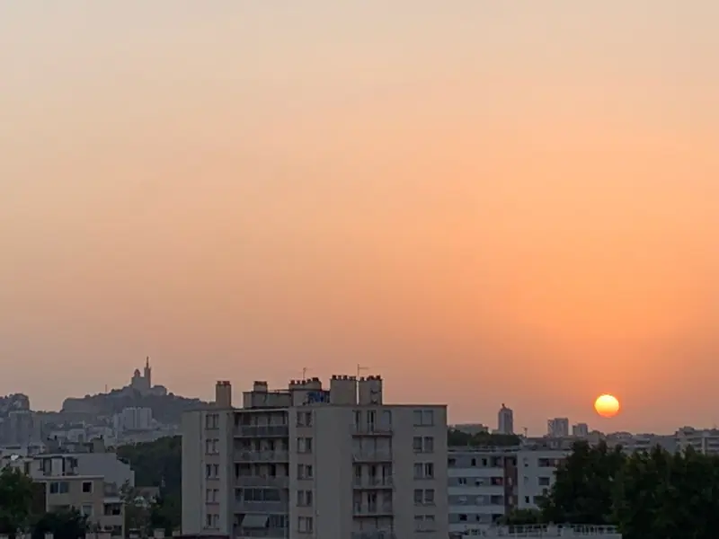 Evening over the rooftops